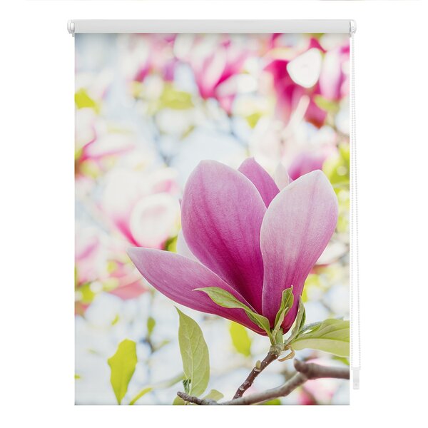 Bild 1 von Lichtblick Rollo Klemmfix, ohne Bohren, Verdunkelung, Magnolie - Rosa