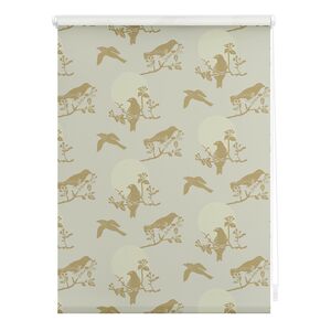 Lichtblick Rollo Klemmfix, ohne Bohren, blickdicht, Moon Birds - Beige
