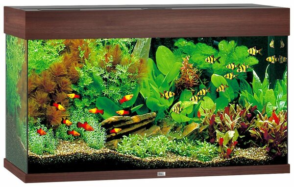 Bild 1 von JUWEL AQUARIEN Aquarium Rio 125 LED, BxTxH: 81x36x50 cm, 125 l, inkl. MultiLux LED Einsatzleuchte