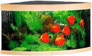 Bild 1 von JUWEL AQUARIEN Aquarium Trigon 350, BxTxH: 123x87x65 cm, 350 l, inkl. MultiLux LED Einsatzleuchte