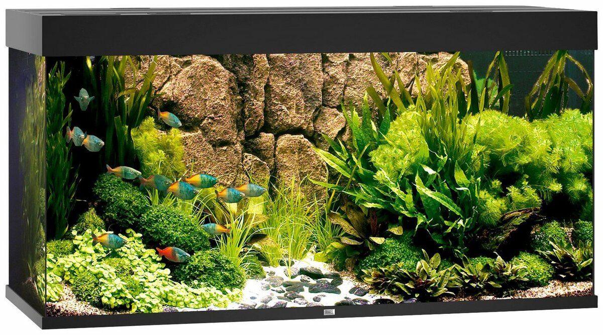 Bild 1 von JUWEL AQUARIEN Aquarium Rio 350 LED, 350 Liter, BxTxH: 121x51x66 cm, inkl. MultiLux LED Einsatzleuchte