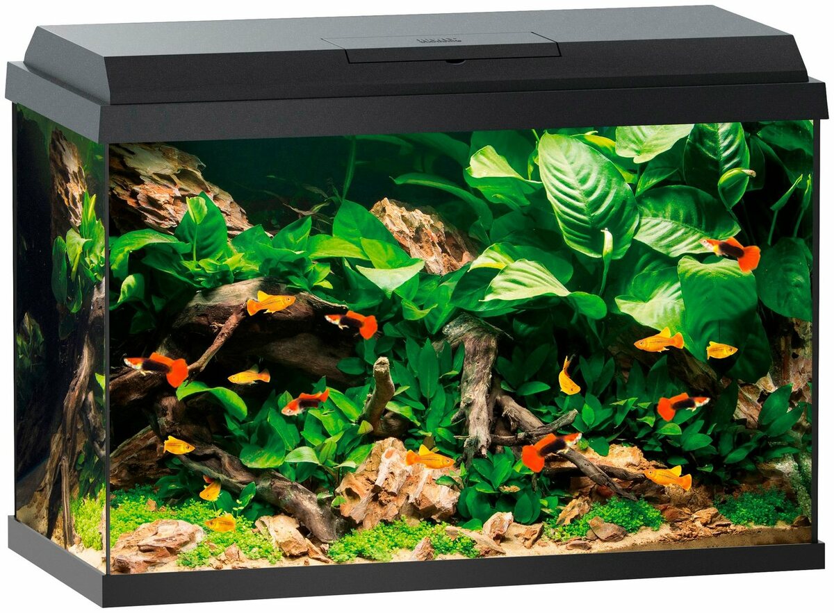 Bild 1 von JUWEL AQUARIEN Aquarium Primo 70, BxTxH: 61x31x44 cm, 70 l