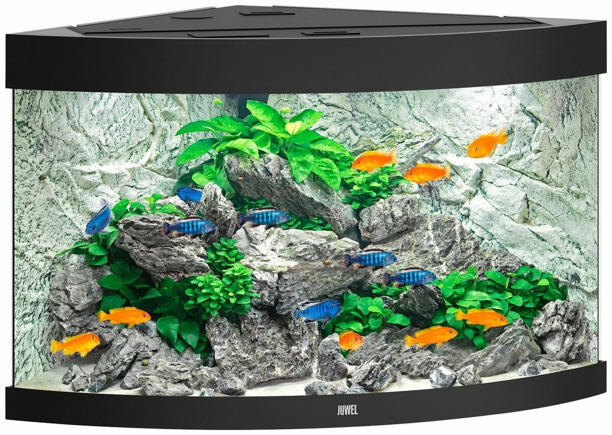 Bild 1 von JUWEL AQUARIEN Aquarium Trigon 190, BxTxH: 98,5x70x60 cm, 190 l, inkl. MultiLux LED Einsatzleuchte