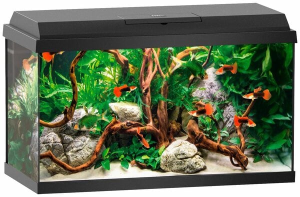 Bild 1 von JUWEL AQUARIEN Aquarium Primo 60, BxTxH: 61x31x37 cm, 60 l