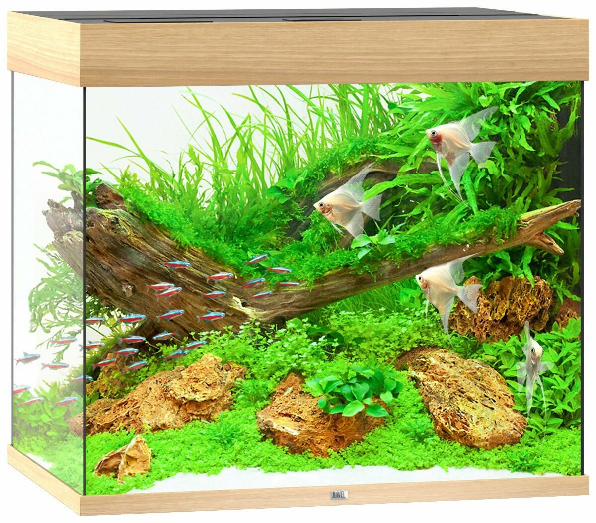 Bild 1 von JUWEL AQUARIEN Aquarium Lido 200 LED, BxTxH: 71x51x65 cm, 200 l, inkl. MultiLux LED Einsatzleuchte