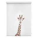 Bild 1 von Lichtblick Rollo Klemmfix, ohne Bohren, Verdunkelung, Giraffe - Braun