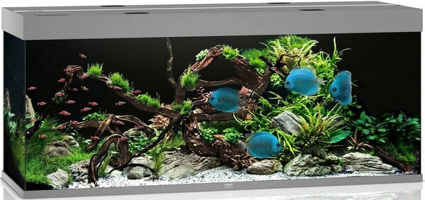 Bild 1 von JUWEL AQUARIEN Aquarium Rio 450 LED, BxTxH: 151x51x66 cm, 450 l, inkl. MultiLux LED Einsatzleuchte