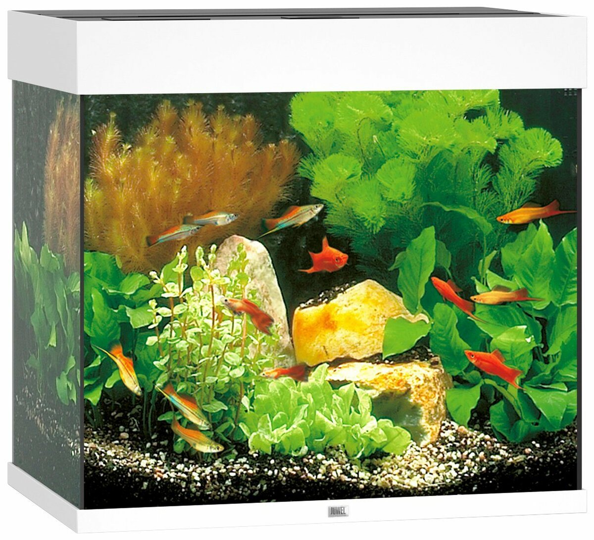 Bild 1 von JUWEL AQUARIEN Aquarium Lido 120 LED, BxTxH: 61x41x58 cm, 120 l, inkl. MultiLux LED Einsatzleuchte