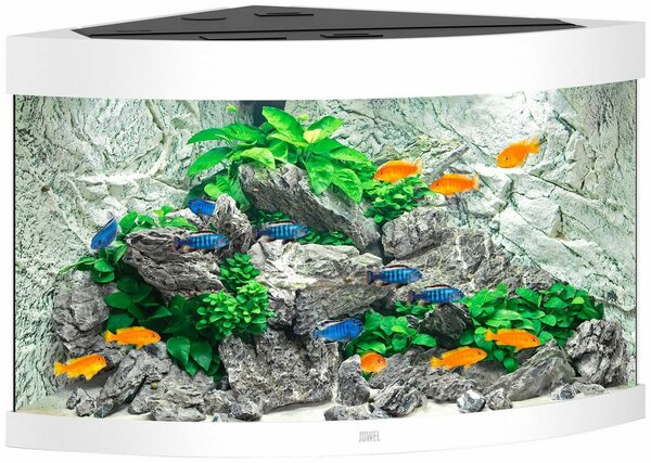 Bild 1 von JUWEL AQUARIEN Aquarium Trigon 190, BxTxH: 98,5x70x60 cm, 190 l, inkl. MultiLux LED Einsatzleuchte