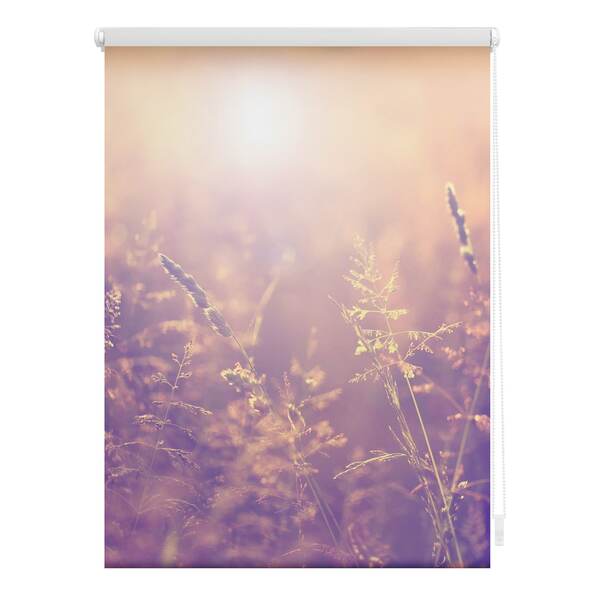 Bild 1 von Lichtblick Rollo Klemmfix, ohne Bohren, Verdunkelung, Sommerabend - Orange