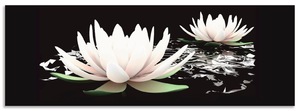 Artland Küchenrückwand "Zwei Lotusblumen auf dem Wasser", (1 tlg.), Alu Spritzschutz mit Klebeband, einfache Montage