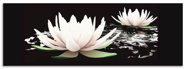 Bild 1 von Artland Küchenrückwand "Zwei Lotusblumen auf dem Wasser", (1 tlg.), Alu Spritzschutz mit Klebeband, einfache Montage
