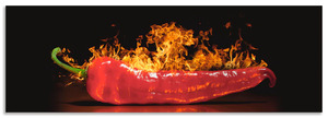 Artland Küchenrückwand "Roter scharfer Chilipfeffer", (1 tlg.), Alu Spritzschutz mit Klebeband, einfache Montage