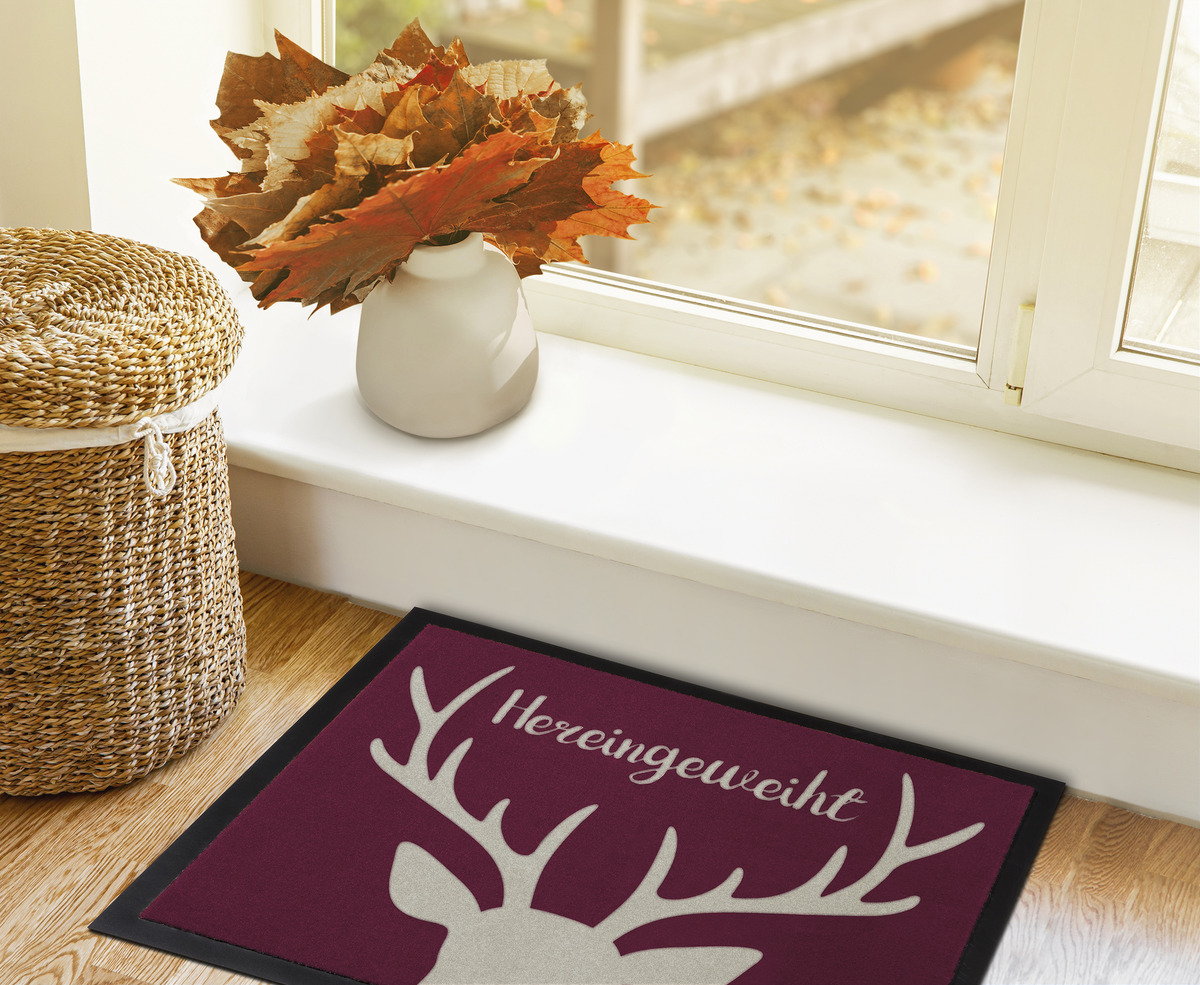 Bild 3 von IDEENWELT Schmutzfangmatte Hereingeweiht