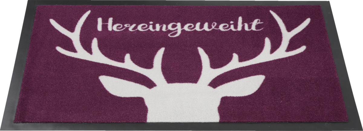 Bild 2 von IDEENWELT Schmutzfangmatte Hereingeweiht