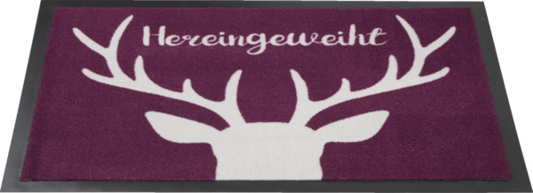 Bild 2 von IDEENWELT Schmutzfangmatte Hereingeweiht