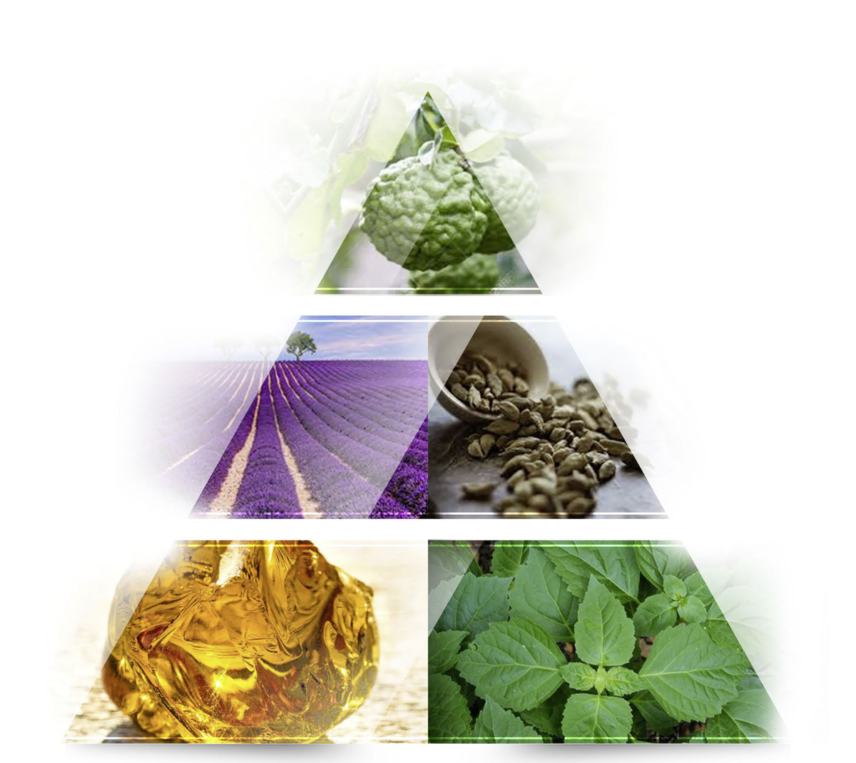 Bild 3 von LA RIVE Extreme Story, EdT 75ml