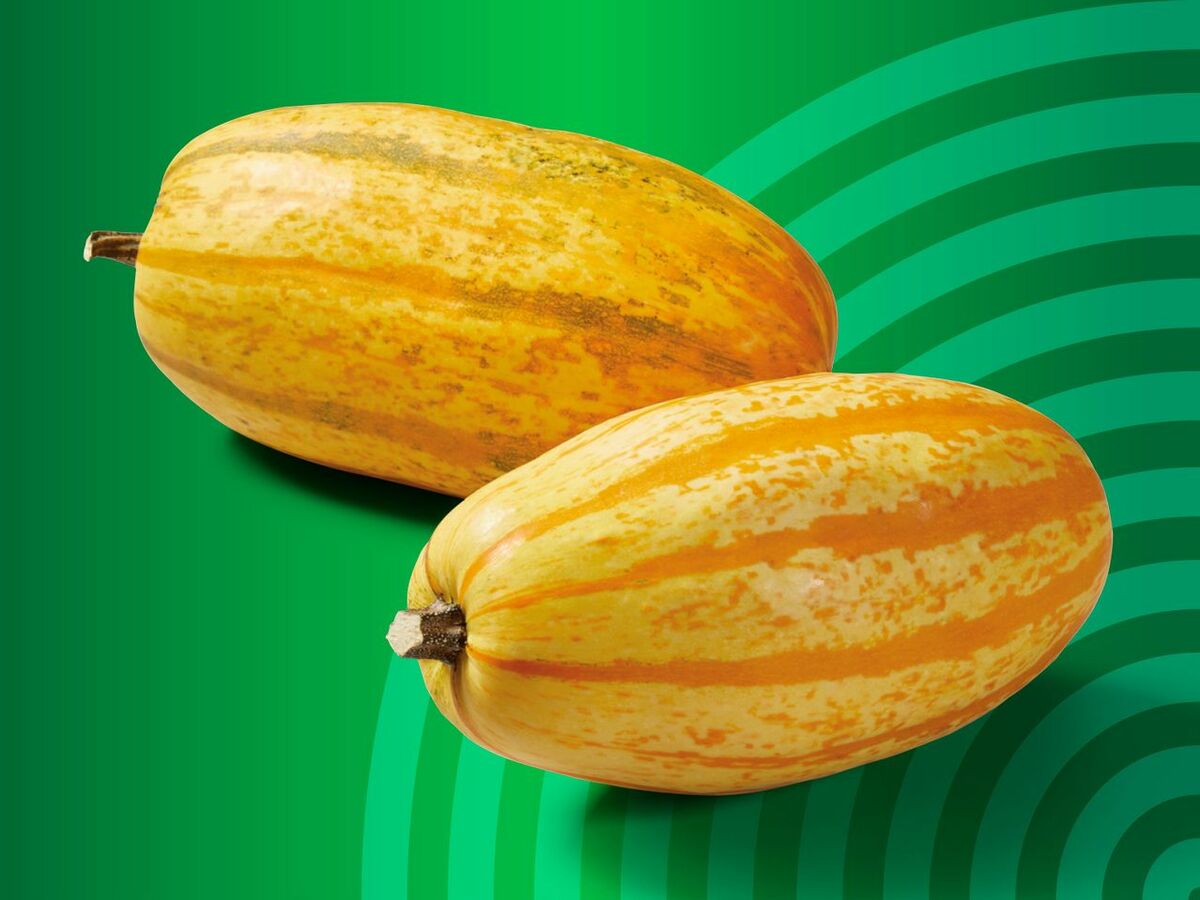 Bild 1 von Deutscher gelber Speisekürbis „Spaghetti“