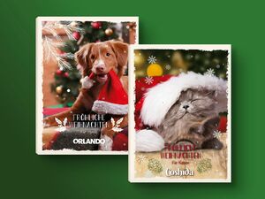 Coshida/Orlando Katzen-/Hundenahrung Adventskalender, 
         100 g