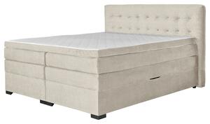 Boxspringbett Madeira in Creme ca. 200x200cm