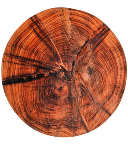 Sanilo Badematte »Old Tree«, Höhe 15 mm, schnell trocknend, Memory Schaum