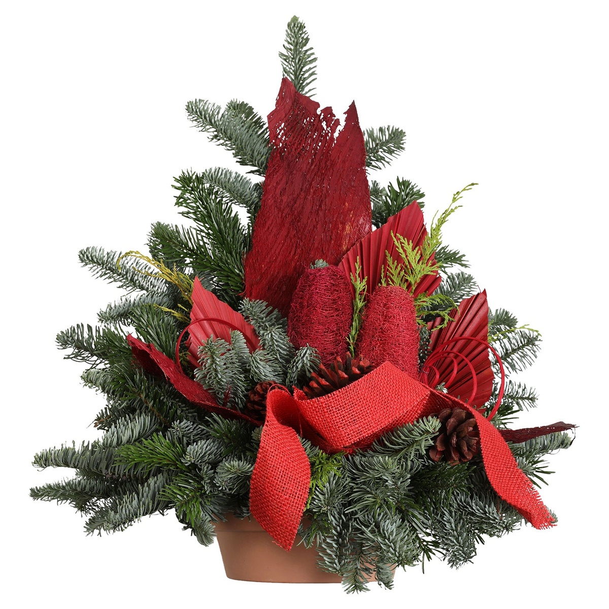 Bild 4 von GARDENLINE Grabschale, groß