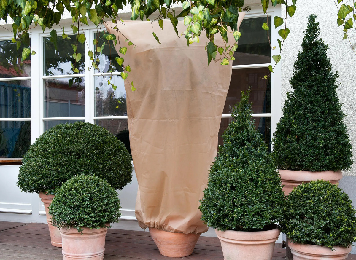 Bild 1 von Wintervlieshaube 1,3 x 1,6 m beige