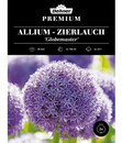 Bild 1 von Dehner Blumenzwiebel Zierlauch-Allium 'Globemaster'