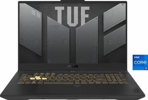 Asus TUF Gaming F17 FX707ZU4-HX044W Gaming-Notebook (43,9 cm/17,3 Zoll, Intel Core i7 12700H, GeForce RTX 4050, 1000 GB SSD)