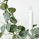 Bild 2 von STRÅLA  Kerzenhalter LED, batteriebetr., künstlich Eukalyptus