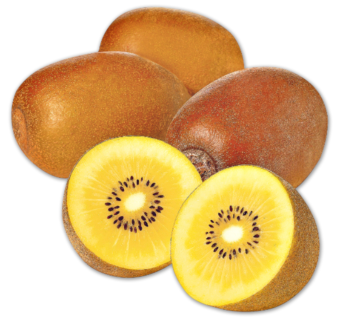 Kiwi Gold* von Penny Markt ansehen!