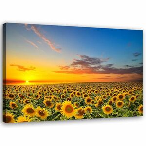 Feeby Leinwand, Sonnenblumen HORIZONTAL, 60x40