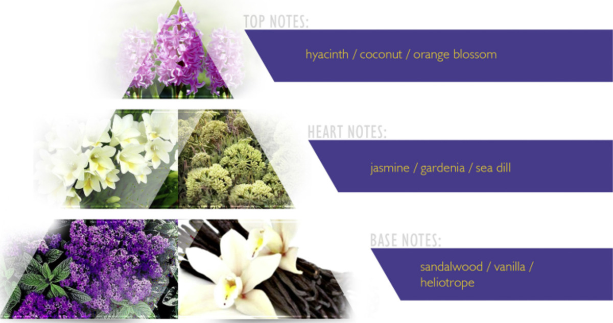 Bild 3 von LA RIVE Solare EdP 50 ml