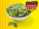Bild 1 von Spinat, 
         500 g