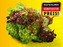 Bild 1 von Multicolor-Salat mit Wurzeln, 
         Stück