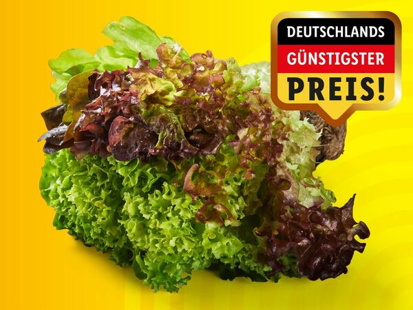Bild 1 von Multicolor-Salat mit Wurzeln, 
         Stück