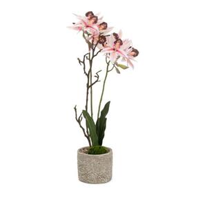 Orchidee rosa im Topf grau 55/11,5x9,5