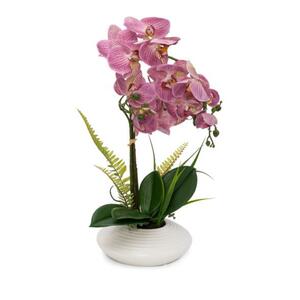 Orchideen cremelila mit Schale 60cm/22x7,5cm
