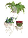 Bild 1 von Blumenständer Blumenständer Möbel-Direkt-Online Cremeweiß