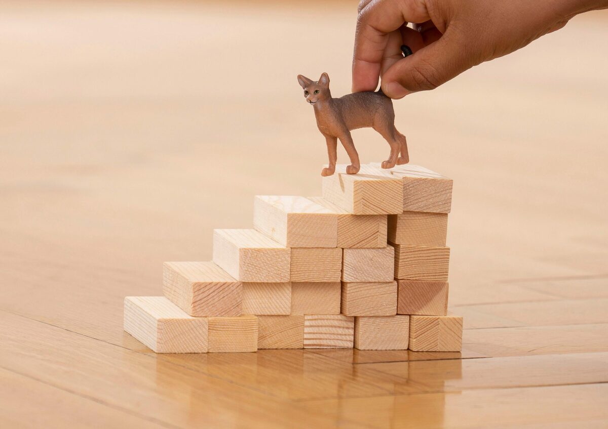 Bild 2 von Schleich® Spielfigur FARM WORLD, Abessinierkatze (13964)