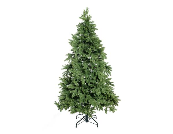 Bild 1 von Evergreen Weihnachtsbaum Roswell Kiefer 180 cm