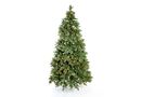 Bild 1 von Evergreen Weihnachtsbaum Roswell Kiefer 210 cm