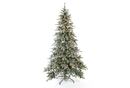 Bild 1 von Evergreen Weihnachtsbaum Fichte Frost 180 cm