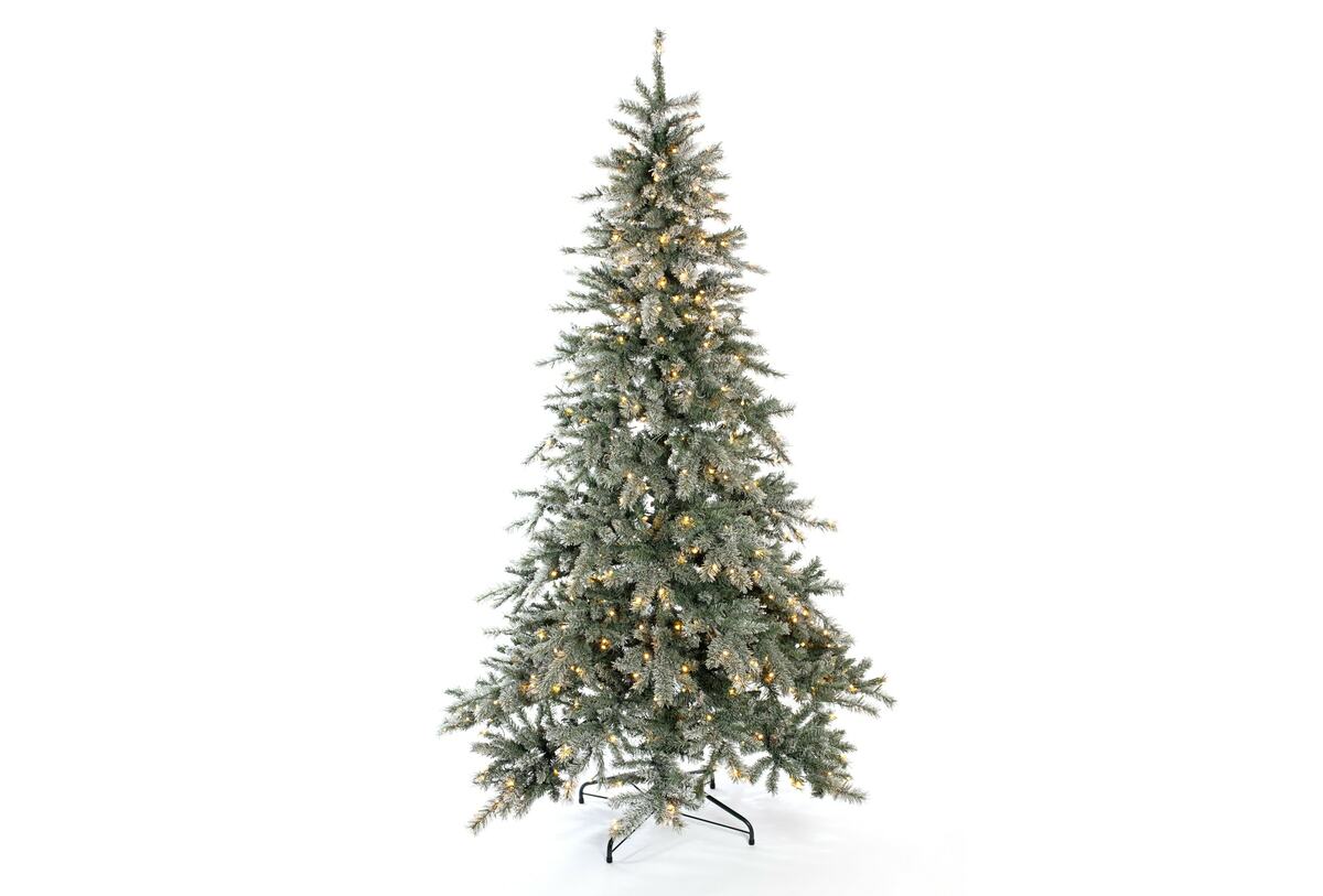 Bild 1 von Evergreen Weihnachtsbaum Fichte Frost 180 cm