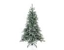 Bild 1 von Evergreen Weihnachtsbaum Fichte Frost 150 cm