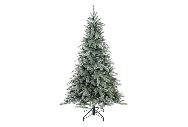 Bild 1 von Evergreen Weihnachtsbaum Fichte Frost 180 cm