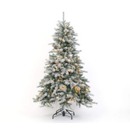 Bild 1 von Evergreen Weihnachtsbaum Fichte Frost 210 cm