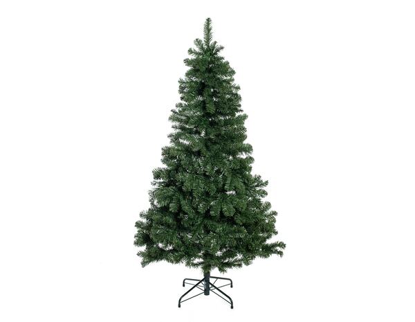 Bild 1 von Evergreen Weihnachtsbaum Oxford Kiefer 180 cm