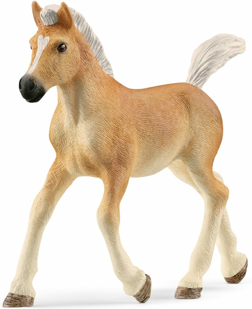Bild 1 von Schleich® Spielfigur HORSE CLUB, Haflinger Fohlen (13951)
