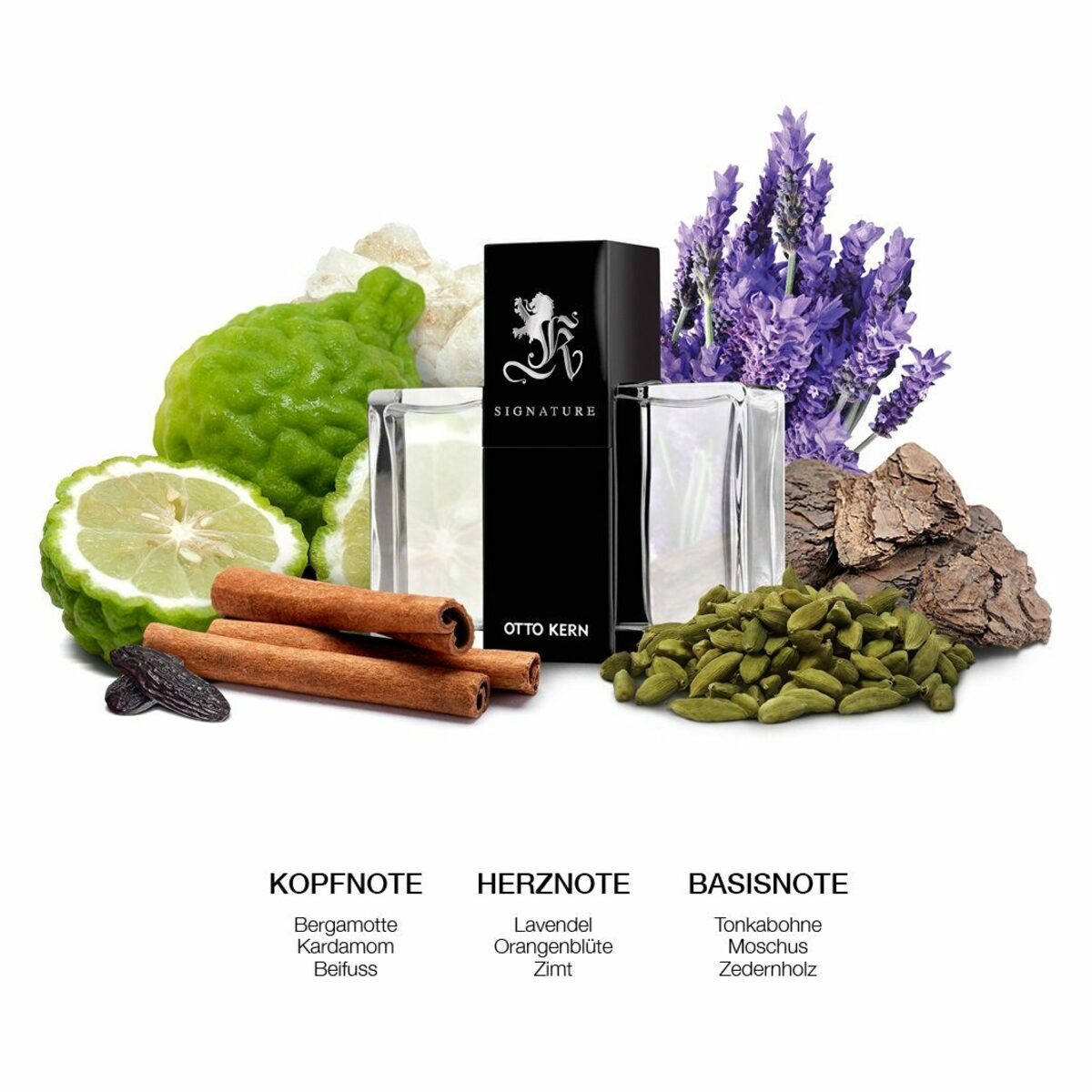 Bild 2 von Otto Kern Eau de Toilette Otto Kern Signature Eau de Toilette 50 ml